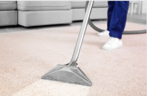 electrodry carpet cleaning Adelaide